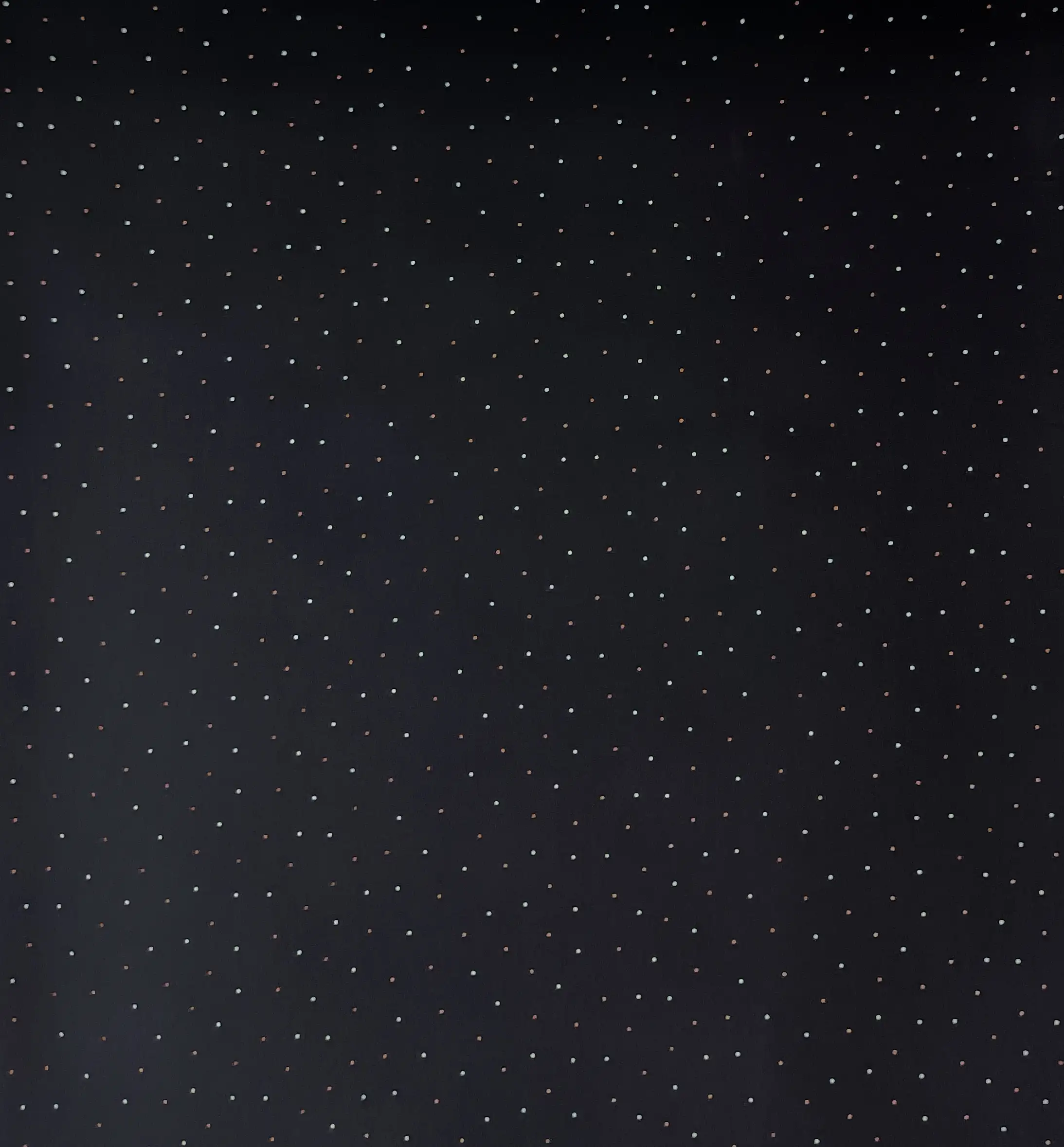 Stripes and Dots20 Collection in Black. Deep black ground scattered with tiny pale silver-grey dots in tidy, evenly spaced rows.