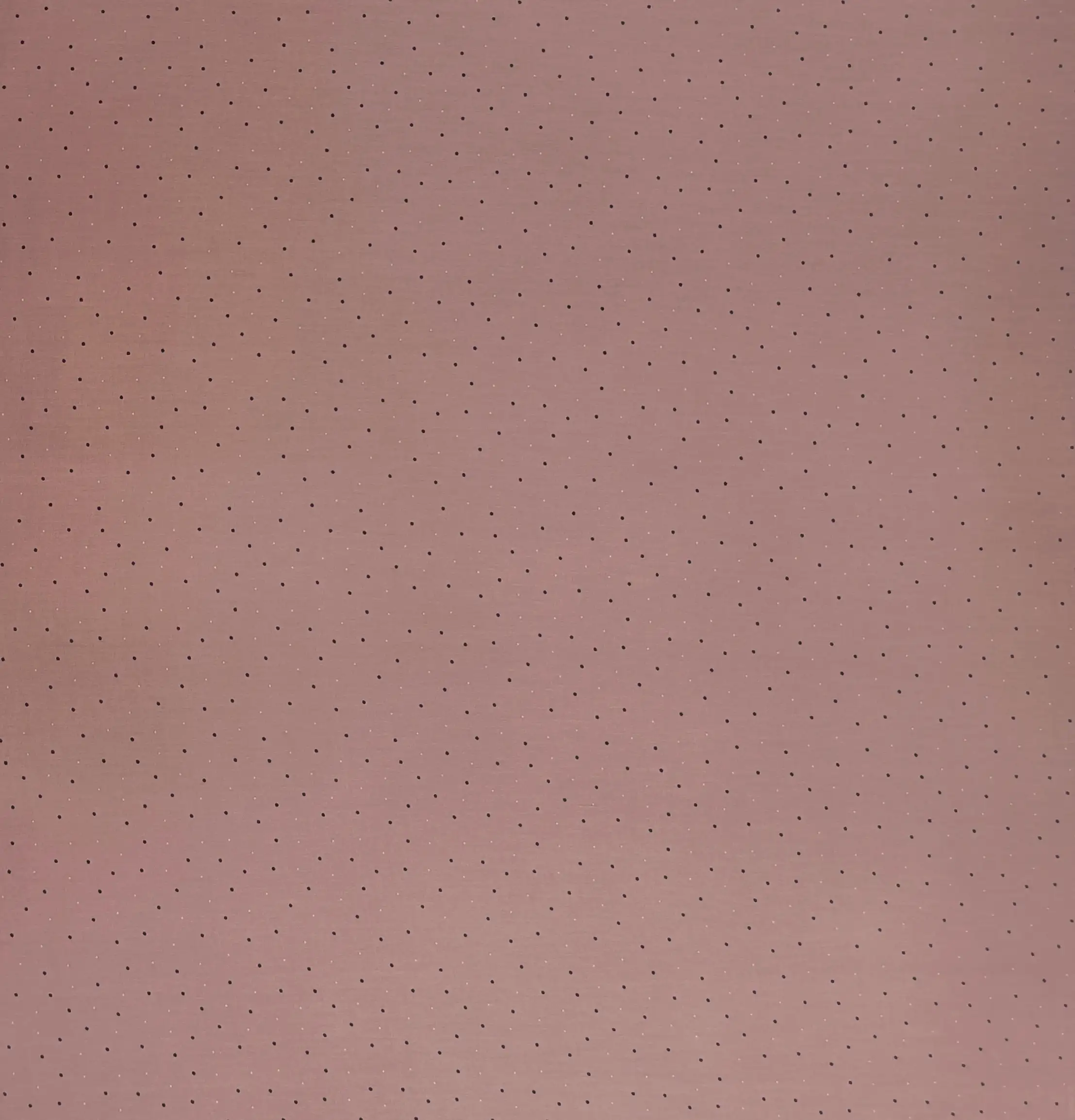 Stripes and Dots20 Collection in Pink. Dusty rose-pink ground patterned with fine maroon and brown dots in steady rows.